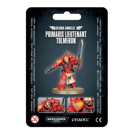 Warhammer 40k Blood Angel Primaris Lieutenant Tolmeron