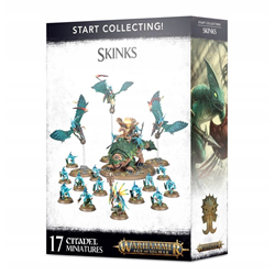 Start Collecting! Skinks