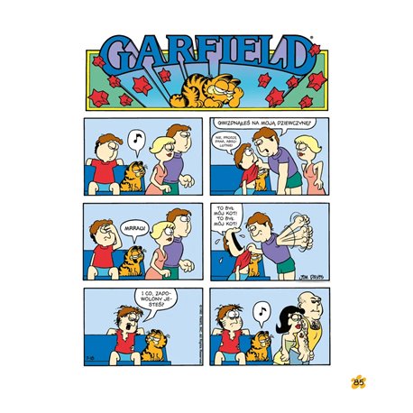 Garfield - Tłusty koci trójpak (tom 3)