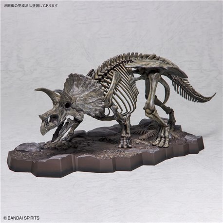 1/32 Imaginary Skeleton Triceratops