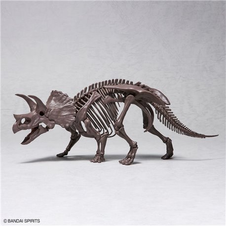 1/32 Imaginary Skeleton Triceratops