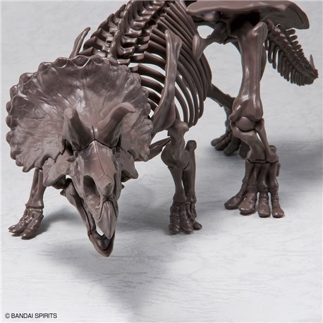 1/32 Imaginary Skeleton Triceratops