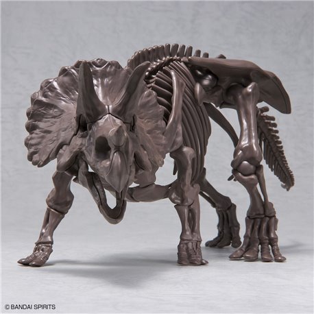 1/32 Imaginary Skeleton Triceratops