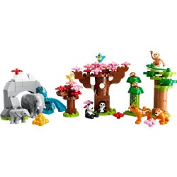 LEGO Duplo 10974 Dzikie zwierzęta Azji