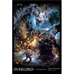 Overlord (light novel) (tom 11)