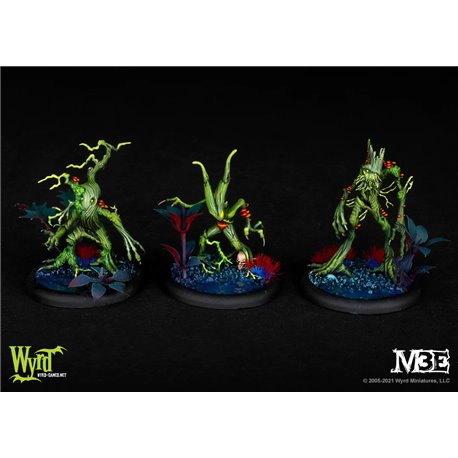 Malifaux 3rd Edition - Zoraida Core Box