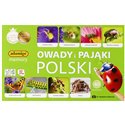 Memory - Owady i pająki Polski