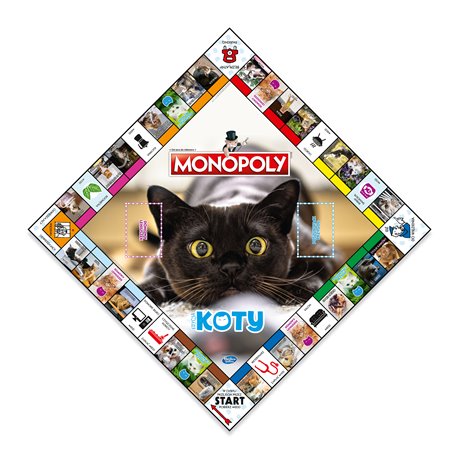 Monopoly Koty