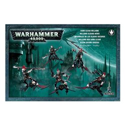 Warhammer 40k Drukhari Hellions (mail order)