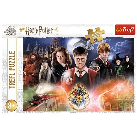 Puzzle 300 Tajemniczy Harry Potter