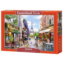 Puzzle 3000 Fowering Paris