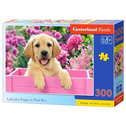 Puzzle 300 Szczenię Labrador w róż. pudle