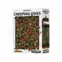 Citadel Creeping Vines 64-51