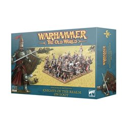 Warhammer The Old World Kingdom of Bretonnia: Knights of The Realm on Foot