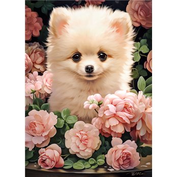 Puzzle 300 Pomeranian Puppy in Roses