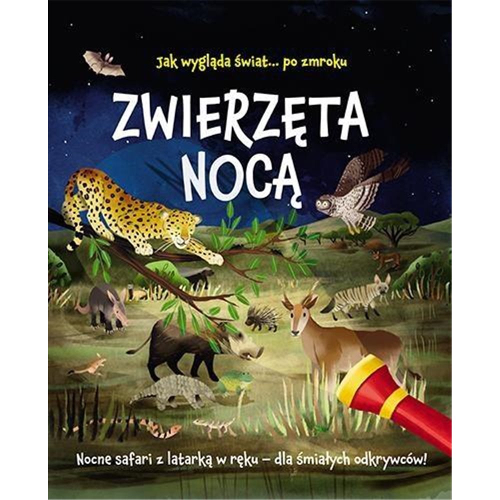 Zwierzęta nocą. Nocne safari z latarką w ręku