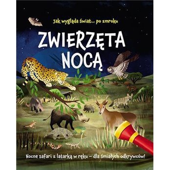 Zwierzęta nocą. Nocne safari z latarką w ręku