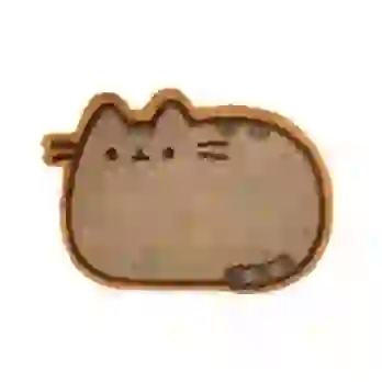 Wycieraczka pod drzwi PUSHEEN (60x40 cm)