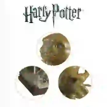 Harry Potter: magiczne stworzenia - Druzgotek