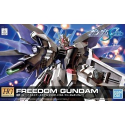 HG 1/144 R15 Freedom Gundam