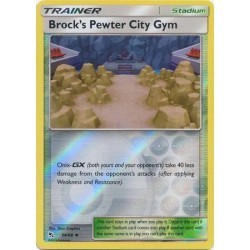 Brock's Pewter City Gym...