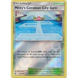 Misty's Cerulean City Gym...