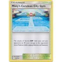 Misty's Cerulean City Gym (HF61/68) [NM]