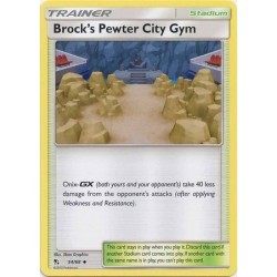 Brock's Pewter City Gym...