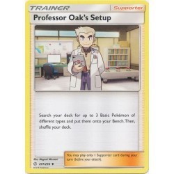 Professor Oak's Setup (CE201/236) [NM]