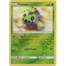 Cacnea (CS19/168) [NM/RH]