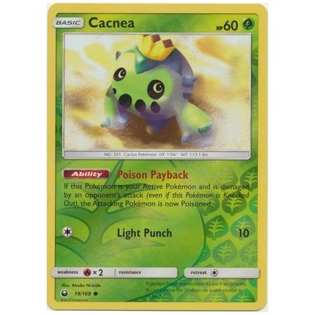 Cacnea (CS19/168) [NM/RH]