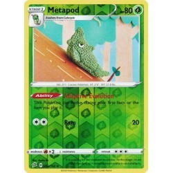 Metapod (RC2/192) [NM/RH]