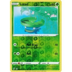 Lotad (RC7/192) [NM/RH]