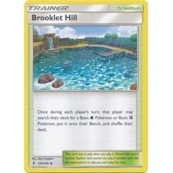 Brooklet Hill (GR120/145) [NM]