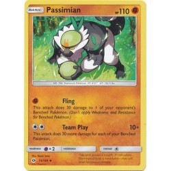 Passimain (SM73/149) [NM]