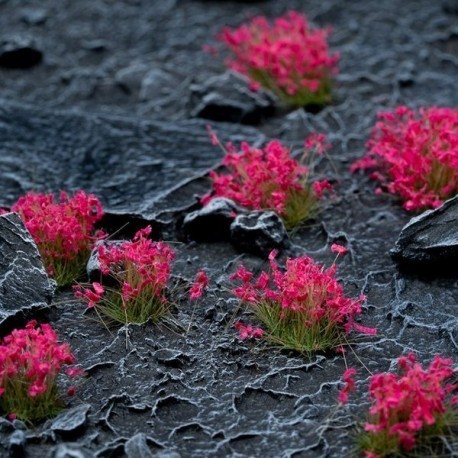 GamersGrass Pink Flowers