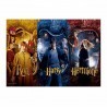 Puzzle - Harry Potter - Harry, Ron & Hermione (1000)