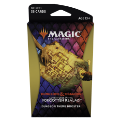 Magic The Gathering Adventures in the Forgotten Realms Dungeon Theme Booster