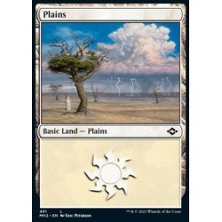 Plains (MH2 481) [NM/Foil]