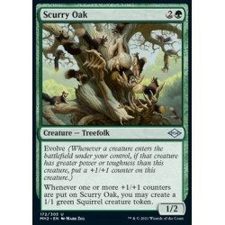 Scurry Oak (MH2172) [NM]