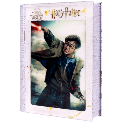 Harry Potter: Magiczne puzzle - Księga - Pojedynek Harry'ego (300 elementów)