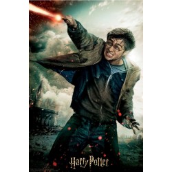 Harry Potter: Magiczne puzzle - Księga - Pojedynek Harry'ego (300 elementów)