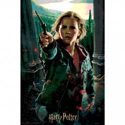 Harry Potter: Magiczne puzzle - Pojedynek Hermiony (300 elementów)