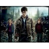 Harry Potter: Magiczne puzzle - Złota Trójka (500 elementów)
