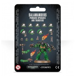 Salamanders Primaris...