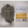 MiniNatur Filigranowy wczesno-jesienny krzew mędrzec 302-03S