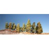 MiniNatur Filigranowy krzew wczesno-jesienny 300-13S