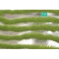 MiniNatur - Tuft - Paski wiosennej trawy