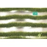 MiniNatur - Tuft - Paski wczesno-jesiennej trawy