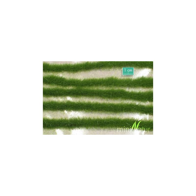 MiniNatur - Tuft - Paski letniej trawy